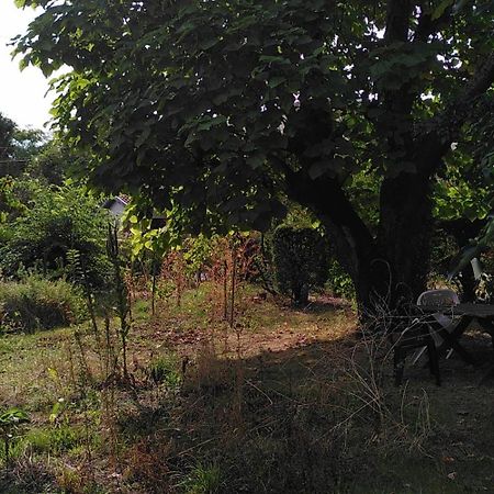 Villa Lulu Mérignac Buitenkant foto